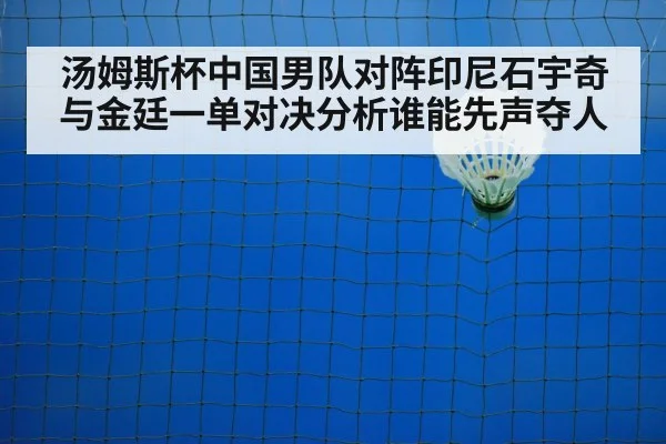 badminton net shot