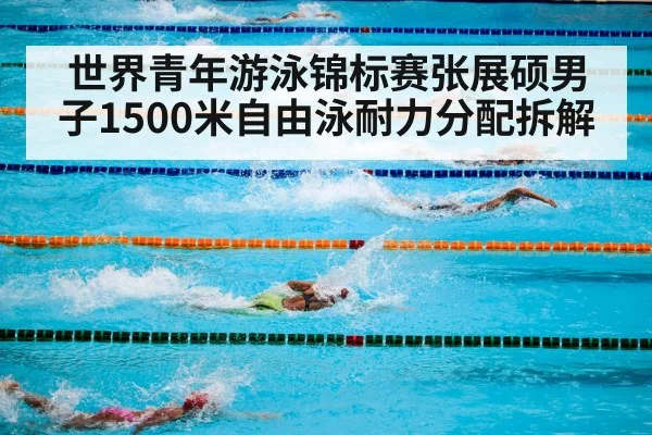 世界青年游泳锦标赛张展硕男子1500米自由泳耐力分配拆解